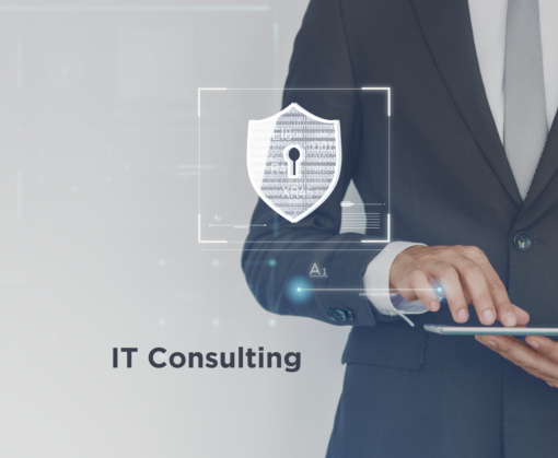 IT Consulting